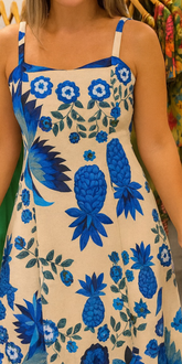 1075 | Vestido Janaína
